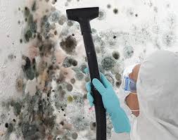 Mold Odor Removal Services in Pike Creek, DE